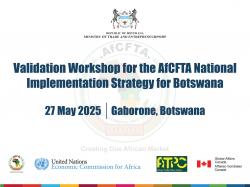 Validation Workshop for the AfCFTA National Implementation Strategy for Botswana