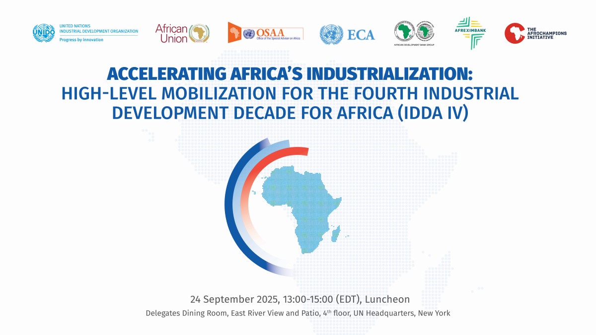 High-level Advocacy and Engagement for IDDA IV