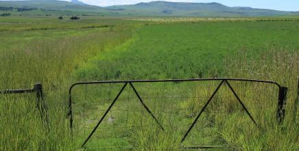 MEDIA ADVISORY - Conference on Land Policy in Africa 2025