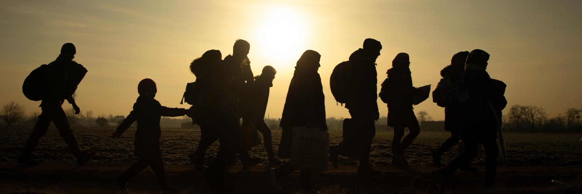 Migration should be embraced, not feared