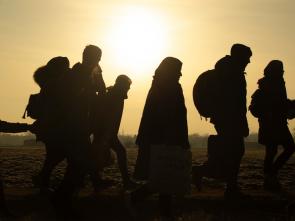 Migration should be embraced, not feared