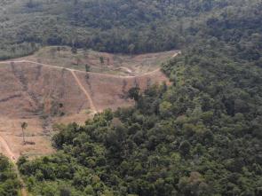 Landmark initiative to reshape how land governance is taught in Africa kicks off