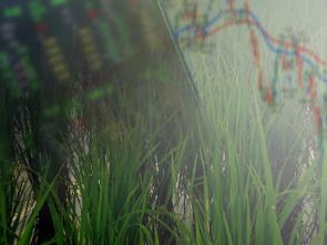 A Food Security Statistics Project is Enhancing Food Security Data across Africa