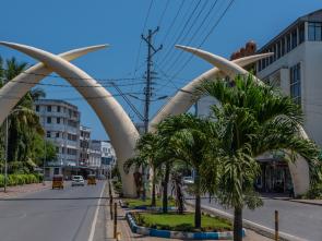 Experts urge faster ratification of the AU Free Movement Protocol