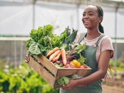 Second World Summit for Social Development