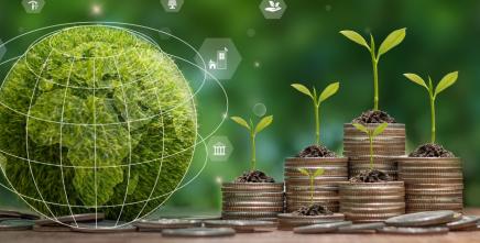 13th Conference on Climate Change and Development in Africa concludes with a call for a unified African climate agenda