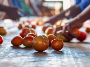 Opening remarks by Mr. Claver Gatete at the Africa Food Systems Forum Annual Summit -  Sahel Government–UN Food Systems Transformation Alliance