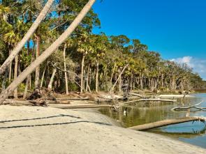 African Island States Advance Ocean Partnerships and Finance Innovation at UN Ocean Conference