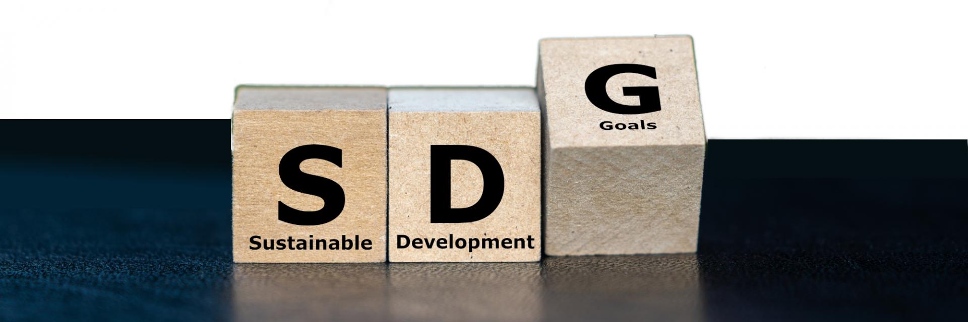 Aid won’t close Africa’s $1.3 trillion SDG gap