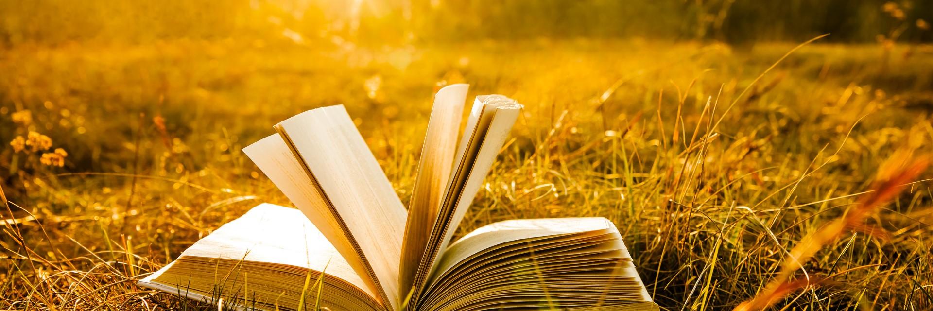 Deadline extended for Call for Short Stories on Land Governance