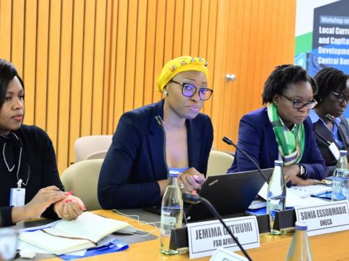 Opening Remarks of Sonia Essobmadje at Workshop on Local Currency and Capital Market Development for Central Banks