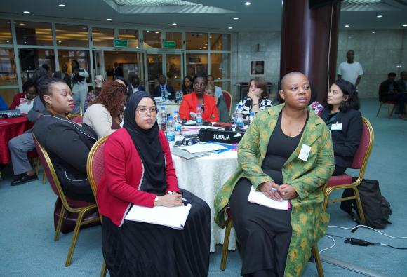 Africa regional review of thirty years of implementation of the BPfA - Day 1 in pictures
