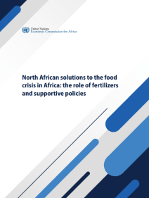 North African solutions to the food crisis in Africa: the role of fertilizers and supportive policies