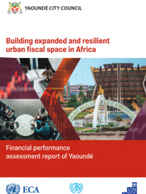 Financial performance assessement report of Yaounde