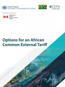 Options for an African Common External Tariff